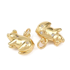 Ciondoli di zirconi in ottone&nbsp;X-KK-L251-53G