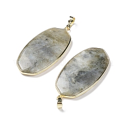 Природные подвески лабрадорита&nbsp;G-K338-05B
