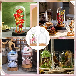 Стеклянный купол&nbsp;AJEW-WH0596-459A