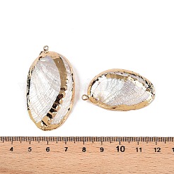 Природные пауа оболочки подвески&nbsp;SSHEL-N038-18B