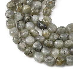 天然石ラブラドライトビーズ連売り  ナゲット  タンブルストーン  9~12x8~10x3~9mm  穴：1mm  約36~41個/連  15.08''~15.87''（38.3~40.3センチメートル）&nbsp;G-P623-A03-02