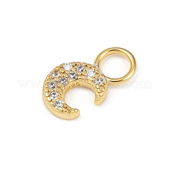 925 стерлингового серебра микро Pave прозрачные кубические циркониевые подвески STER-G048-01G-01