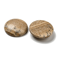 Natur Bildjaspisses cabochons&nbsp;G-C115-02B-22