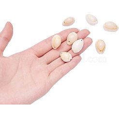 Подвески из каури&nbsp;SHEL-PH0001-04