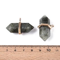 Двойные заостренные подвески из натурального лабрадорита&nbsp;G-N345-09H