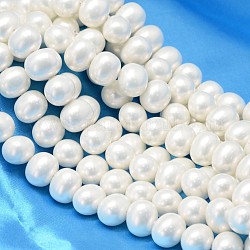 Coquille ovale brins perles de perles, blanc, 19x16x14mm, Trou: 1.5mm, Environ 25 pcs/chapelet, 15.74 pouce