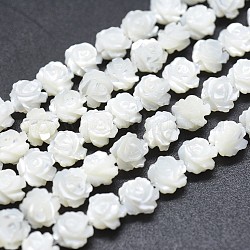 Shell normal de perles blanches de brins, perles coquille en nacre, rose double face, fumée blanche, 6~6.5x3~4.5mm, Trou: 0.8mm, Environ 60 pcs/chapelet, 14.17 pouce (36 cm)