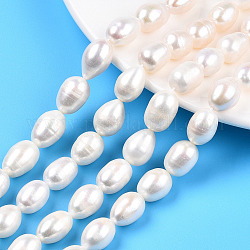 Natural Cultured Freshwater Pearl Beads Strands, Rice, Creamy White, 12.5~18.5x9.5~11.5mm, Hole: 0.8mm, about 23~26pcs/strand, 14.80 inch~15.39 inch(37.6~39.1cm)