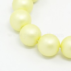 Round Shell Pearl Frosted Beads Strands, Pale Goldenrod, 8mm, Hole: 1mm, about 52pcs/strands, 15.7 inch
