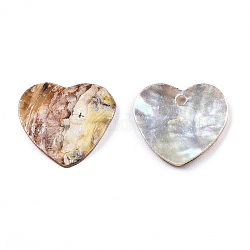 Pendentifs coquillage akoya naturel, pendentif coquillage nacre, breloque coeur, 14~15.5x15~16x1.5~2.5mm, Trou: 1.4mm