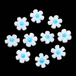 Natürliche Emaille-Perlen aus Süßwassermuscheln, Blume, Deep-Sky-blau, 12x12x4 mm, Bohrung: 0.8 mm