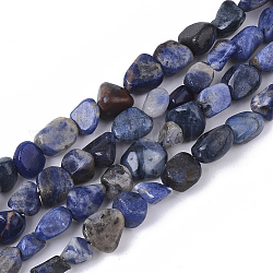 Chapelets de perles en sodalite naturelle, pépites, pierre roulée, 5~11x5~8x3~6mm, Trou: 0.8mm, environ: 52~56 perle / Chapelet, 15.94 pouce (40.5 cm)