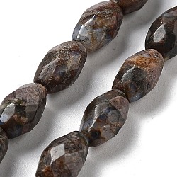 Fili di perline di glaucofane naturali, riso sfaccettato, 12.5x8mm, Foro: 1.2 mm, circa 16pcs/filo, 7.68 pollice (19.5 cm)