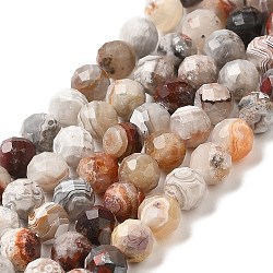 Brins de perles d'agate mexicaine naturelle, ronde, facette, 5mm, Trou: 0.7mm, Environ 75 pcs/chapelet, 15.55'' (39.5 cm)