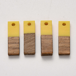 Подвески из смолы и ореха, прямоугольные, золотые, 20x6.5x3 мм, отверстие : 1.8 мм