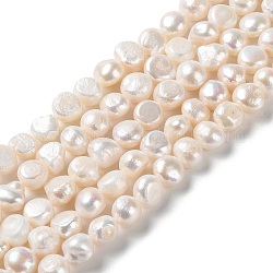 Fili di perle di perle d'acqua dolce coltivate naturali, due lati lucido, grado 2 un, papayawhip, 10.5~12x7~8.5mm, Foro: 0.6 mm, circa 34pcs/filo, 14.17 pollice (36 cm)