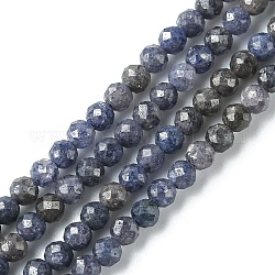 Chapelets de perles en saphir naturel, facette, ronde, 4mm, Trou: 0.8mm, Environ 99~102 pcs/chapelet, 15.43~15.63 pouce (39.2~39.7 cm)