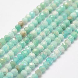 Amazonite naturale fili di perle, sfaccettato, tondo, 2.5~3mm, Foro: 1 mm, circa 146pcs/filo, 15.3 pollice