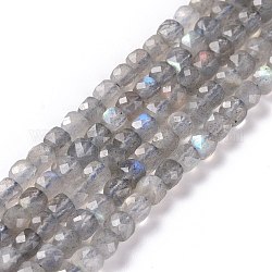 Chapelets de perles en labradorite naturelle , facette, cube, 4~4.5x4~4.5x4~4.5mm, Trou: 0.6mm, Environ 86~98 pcs/chapelet, 15.2 pouce (38.5 cm)