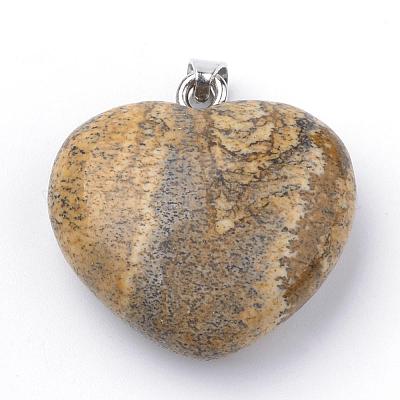 Естественного изображения яшмы подвески G-S219-18C-1