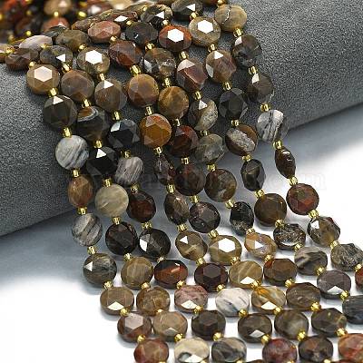 Природные окаменелое дерево бисер пряди G-C116-A135-01-1