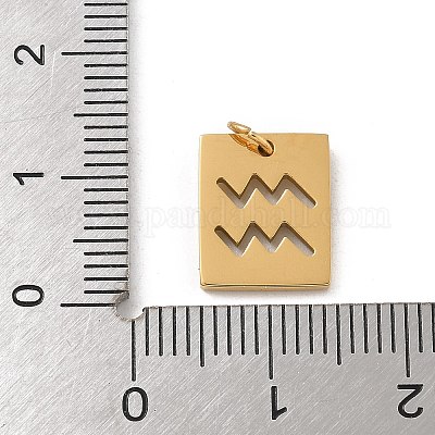 Подвески из нержавеющей стали 304 STAS-R001-03G-11-1