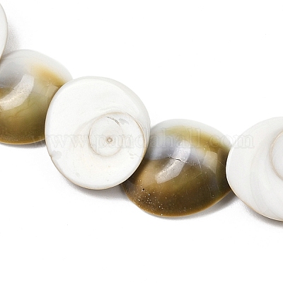 Натуральные бусины из ракушек «глаз Шивы» SHEL-G021-01B-1