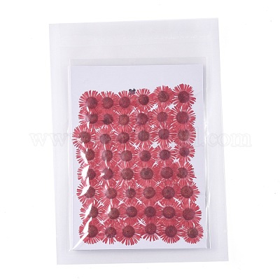 Центавр иберика тиснение сушеный цветок DIY-K032-65K-1