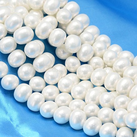 Concha ovalada hebras de abalorios de perlas BSHE-L013-L-A013A-1