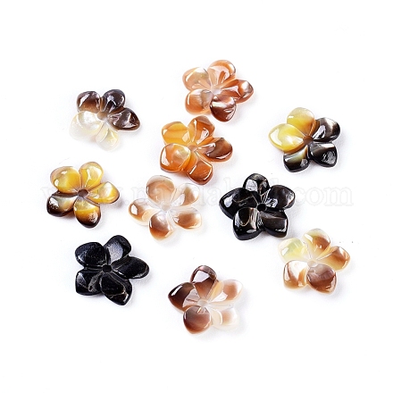 Shell perle naturali labbro nero BSHE-L043-18-1