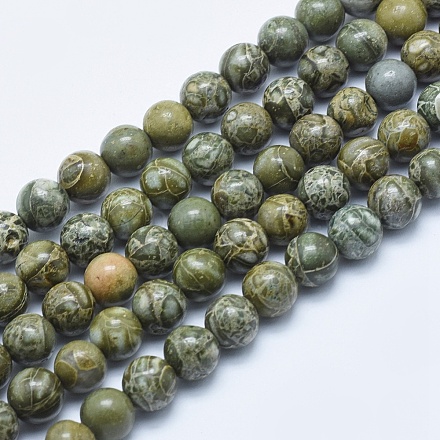 Perles crocodile naturel de jaspe de peau brins G-E444-26-8mm-1