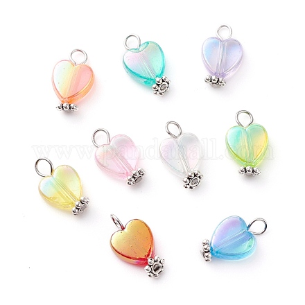 Eco-Friendly Transparent Acrylic Charms PALLOY-JF00749-01-1