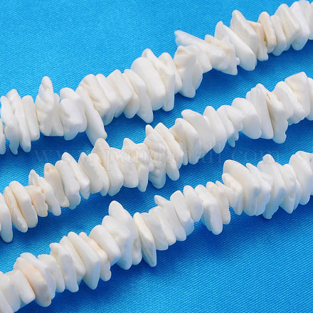 Natural Sea Shell Chips Beads Strands BSHE-Q024-02-1