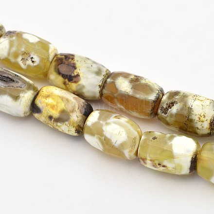 Faceted Barrel Natural Fire Crackle Agate Beads Strands G-E302-004-1