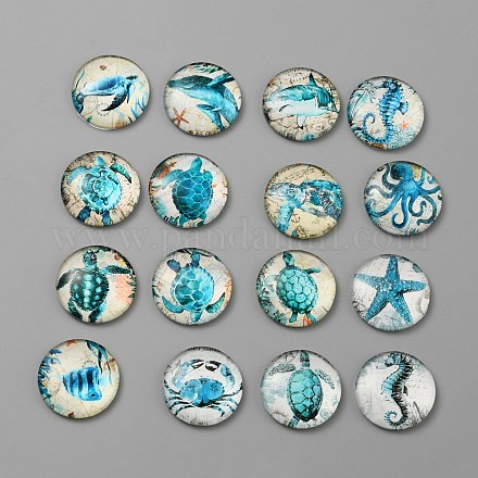 Кабошоны из стекла&nbsp;GLAA-WH0024-06C-1