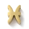 Constellation 304 Stainless Steel Charms, Pisces, 9x6x3mm, Hole: 2mm
