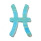 Acrylic Keychain Pendants, 12 Constellations, Pisces, 55x34x2.5mm, Hole: 2mm