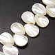 Chapelets de perles de coquille de trochid / trochus coquille SSHEL-K009-08-3