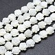 Shell normal de perles blanches de brins SSHEL-P015-01A-6mm-1