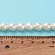 Cuentas perlas de concha de perla X-BSHE-L026-03-8mm-8