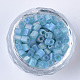 6/0 transparentes abalorios de cristal de la semilla SEED-S027-03B-12-2