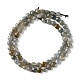 Natural Labradorite Beads Strands G-D0003-A94-3
