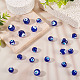 60шт ручной работы бусины лэмпворк LAMP-PJ0001-04-6
