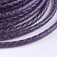 Braided Leather Cord WL-E025-4mm-A03-1