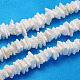Natural Sea Shell Chips Beads Strands BSHE-Q024-02-1