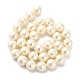 Chapelets de perles de coquille&nbsp;BSHE-XCP0001-34-2