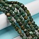 Natural South African Jade Bead Strands G-P070-07A-2