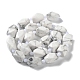 Natural Howlite Beads Strands G-C182-23-01-3