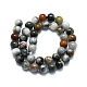 Natural Eagle Eye Stone Beads Strands G-K245-A09-05-2