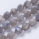 Chapelets de perles en labradorite naturelle  G-F568-042-10mm-1
